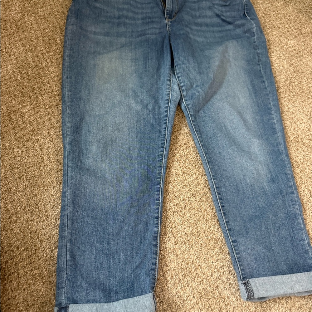 Signature by Levi Strauss Women's Boyfriend Jeans in Blue